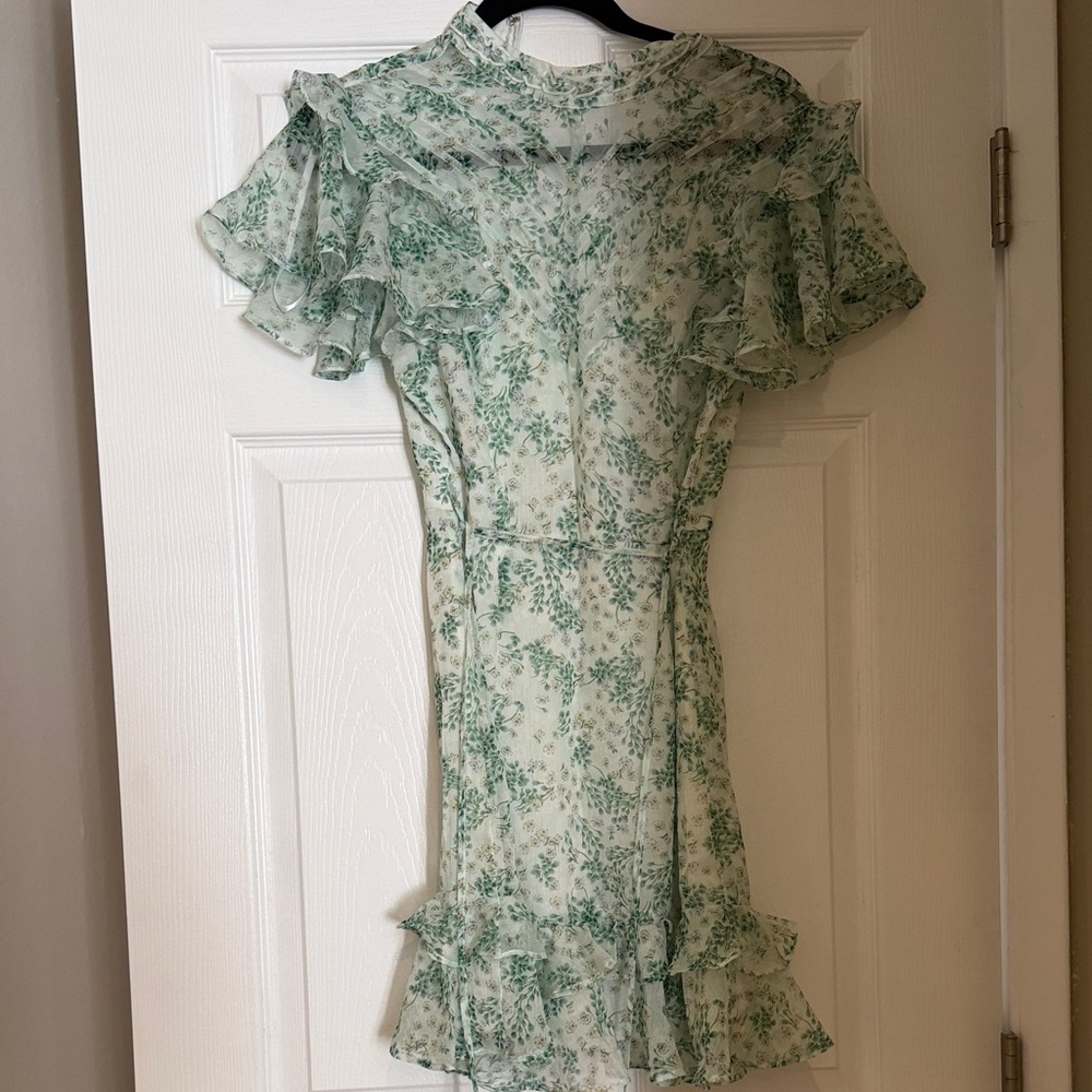 Sheer Green Floral Ruffle Mini Dress